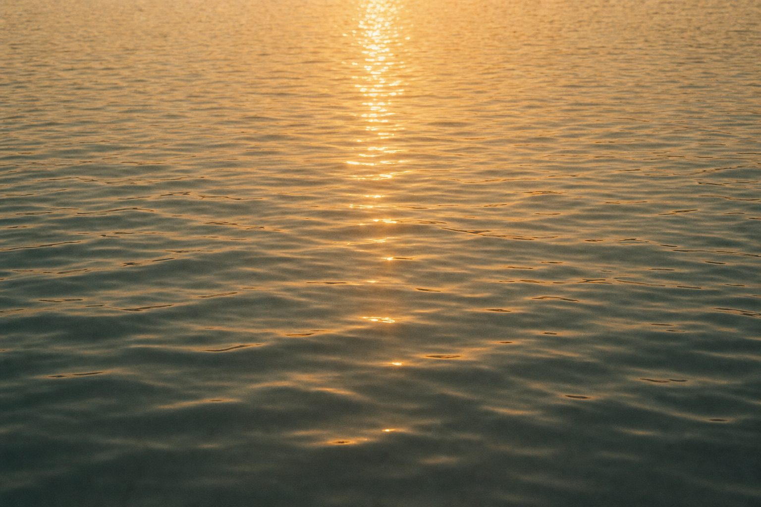 Still water at dusk